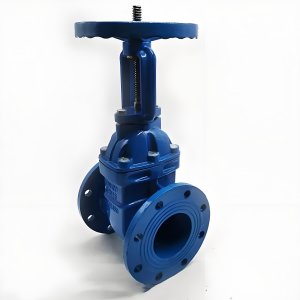 手動閘閥Z41T-16 DN50/DN65廠家直銷，上海發(fā)